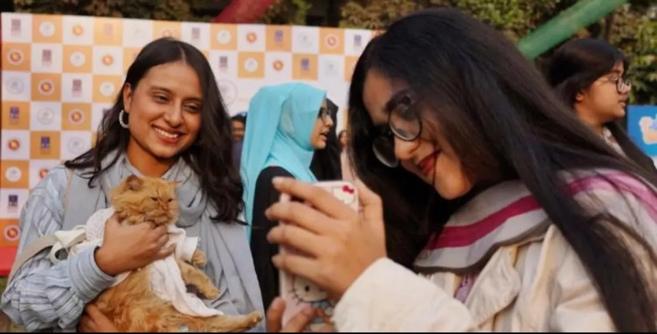 ছুটিতেও ঢাবির বিড়ালদের পাশে ‘কেয়ার ডিইউ’